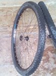 IMG_20160731_122848.jpg