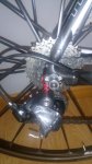 IMG_20160802_181819.jpg