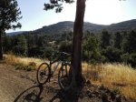 IMG_20160804_091614.jpg