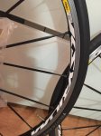 IMG-20160804-WA0011.jpg
