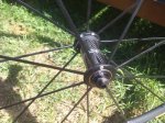 IMG_20160805_170414.jpg