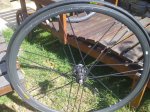 IMG_20160805_170445.jpg