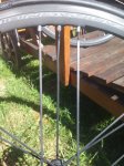 IMG_20160805_170621.jpg