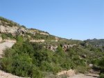 DSC06095.JPG