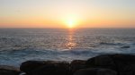 IMG_0390.jpg