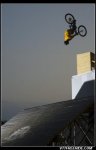 pro 009.jpg