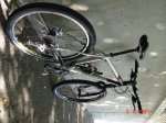 DSC01961.JPG