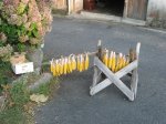 Image00006.jpg