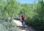 DSC00384.JPG