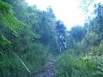 P1190841_800x600.jpg