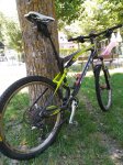 IMG_20160727_150312.jpg