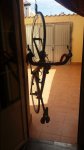 20160317_131952.jpg