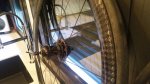 20160808_204058.jpg