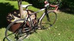 P_20160808_125032.jpg