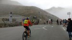 IMG-20160809-WA0002.jpg