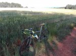 IMG_20160601_181748.jpg
