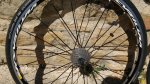 IMG_20160810_135426792.jpg