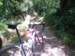 IMG_20160802_144921.jpg