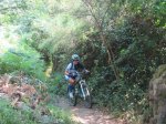 IMG_8677.JPG