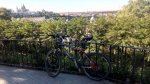 IMG_20160807_094540.jpg