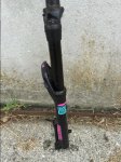 image.jpeg