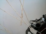 IMG_20160813_173927.jpg