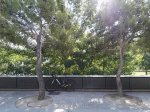 IMG_20160803_095002.jpg