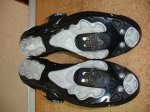 DSC06146.JPG