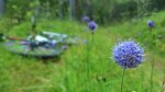 DSC_1111.jpg