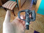 IMG_20160818_115439.jpg