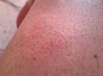 2016-08-18 09.07.05.jpg