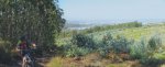 Panorama 2.JPG