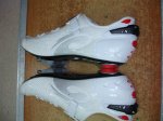 DSC06211.JPG