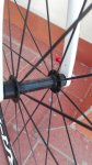 IMG_20160813_164247.jpg