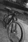 DSC_0306-01.jpeg