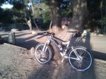 IMG_20120226_082825.jpg