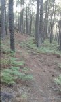 20160819_092514.jpg