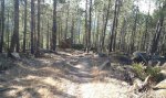 20160821_094558.jpg