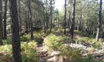 20160821_095732.jpg