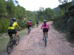 Ruta PRV21 001.jpg