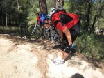 Ruta PRV21 017.jpg