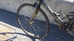 20160822_170956 4 OK.jpg