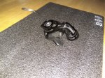 IMG_20160726_095559.jpg
