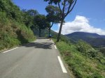 IMG_20160801_140452.jpg