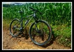 PicsArt_08-26-03.58.21.jpg