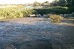IMG-20160826-WA0001.jpg