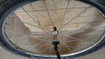 20160827_083145.jpg