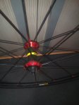 IMG_20160827_103551.jpg