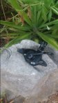 20160827_074325.jpg