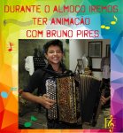 ANIMACAO.jpg